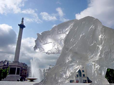 Mark Coreth's Ice Bear Project sculpture in Trafalgar Square, London, with Nelson's Column in the ... / ©: The Ice Bear Project Ltd rel=