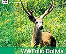 WWFolio 21