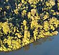  / &copy;: Fernando Allen for WWF Paraguay