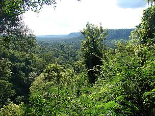 Reserva de Mbaracayu