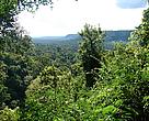 Reserva de Mbaracayu