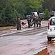 &copy; WWF Hungary