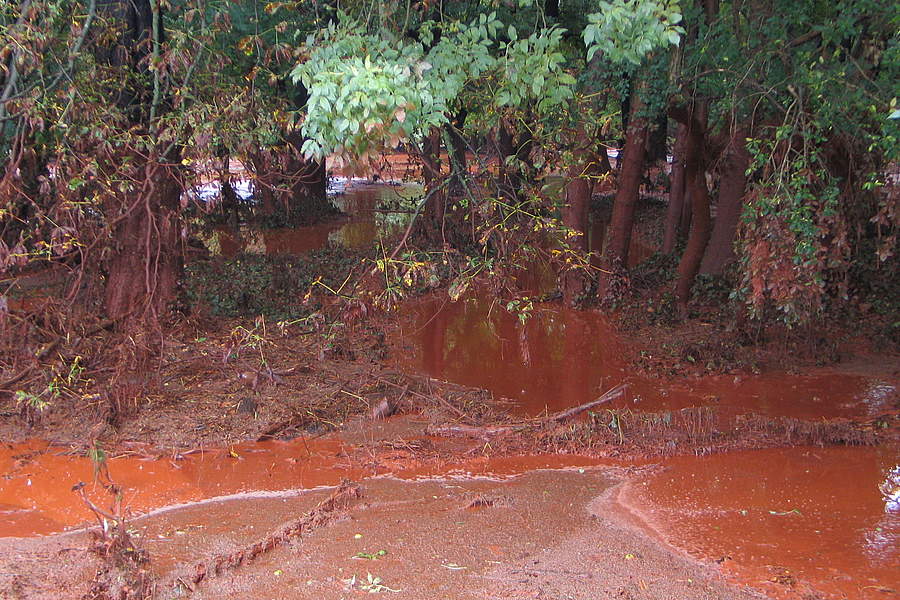 WWF Hungary toxic red sludge flood