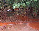WWF Hungary mud mudslide toxic sludge red