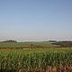Pockets of remaining forest among vast agricultural fields © © WWF/ Amanda Parker