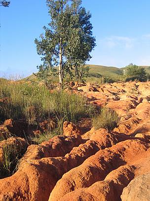 Erosion is a result of deforestation. Ivohibe, Madagascar / ©: Olivier van Bogaert / ©: Olivier van Bogaert