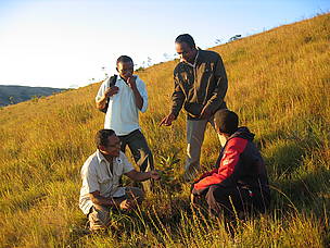 WWF Lovanirina Joël Raveloson, Martial Rakotondrasoa and Diamondra Fananako Andriambololona discuss ... / ©: Olivier van Bogaert / ©: Olivier van Bogaert