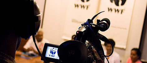 WWF South Pacific press conference / ©: Matthew Hensby / ©: Matthew Hensby