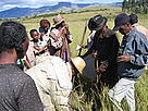 Travaux de reboisement par la communauté locale. Ivohibe, Madagascar. / ©: WWF-Canon / Olivier van Bogaert / ©: WWF-Canon / Olivier van Bogaert