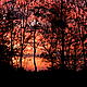 Sunrise at the Mbaracayu Reserve © Helen Beynon