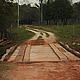Bridge over a stream en route to the Indigenous Community in Caazapa © © WWF/ Amanda Parker