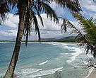 Lokaro beach in Fort Dauphin, Madagascar where men can be seen carrying hammerhead sharks for sale