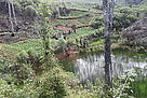 Paysage de petites cultures, Fandriana. / ©: WWF-MWIOPO / ©: WWF-MWIOPO