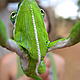 Getting up close with local wildlife is an every day occurrence © WWF / Ian Martin