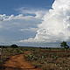 Collecting field data as a storm brews. Never seemed to rain where we were though © WWF / Ian Martin