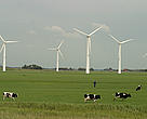 Wind power in the Netherlands.
