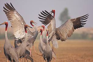  / &copy;: WWF Greater Mekong