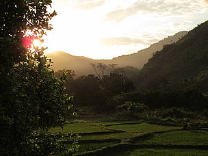 The surroundings of Ambodimanga. / ©: WWF / Sergio Rejado Albaina / ©: WWF / Sergio Rejado Albaina