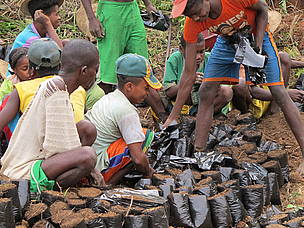Forest restoration activities in Vohilava. / ©: WWF / Sergio Rejado Albaina / ©: WWF / Sergio Rejado Albaina