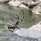 &copy; WWF / Sergio Rejado Albaina