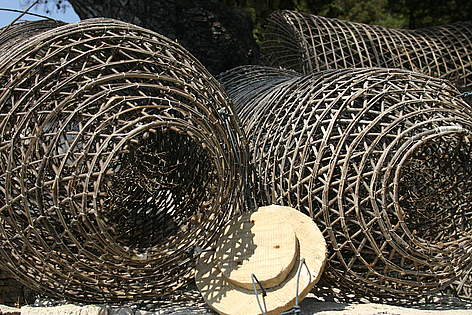 Vrše / ©: IVAN BURA, WWF – Canon / ©: IVAN BURA, WWF – Canon