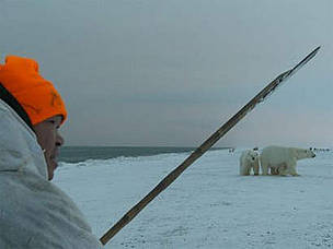 A member of a Russian Polar Bear Patrol warns off a polar bear. / ©: Tom Arnbom A member of the Umky Polar Bear Patrol warns off a polar bear using the traditional Chukchi method ... / ©: Tom Arnbom