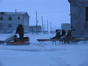 Cape Schmidt, Chukotka, Russia. / ©: Tom Arnbom Cape Schmidt, Chukotka, Russia. / ©: Tom Arnbom
