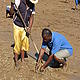 Mangroves need helping hands, too © WWF / Katherine Davey