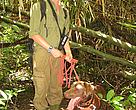 Simon Mahood, member of the WWF rhino project in Vietnam, with dog 'Chevy', who is trained  to detect dung of the rare Javan rhino in the forests of Vietnam.