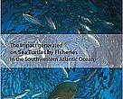 The impact generated by fisheries on Sea Turtles in the Southwestern Atlantic Ocean.