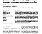 Impacts coastal development on hawksbill