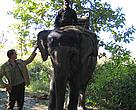 Riding an Elephant