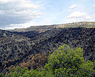 Will burnt woods, like this in Spain, become an ever more frequent view in the future?