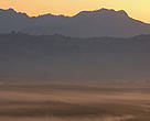 Morning landscape, Corbet National Park, Uttarakhand, India.
(Terai Arc Landscape)