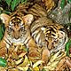 &copy; Martin Harvey / WWF-Canon