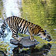 &copy; Chris Hails / WWF-Canon