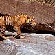 &copy; R.Isotti, A.Cambone - Homo Ambiens / WWF-Canon