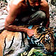 &copy; Peter F.R. Jackson / WWF-Canon