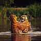 &copy; Martin Harvey / WWF-Canon