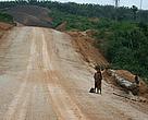 Children of indigenous Orang Rimba next to the logging highway opened by APP and partners in Bukit Tigapuluh forest landscape – where should they go from here? 