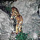 &copy; Gerald S. Cubitt / WWF-Canon