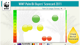 Click here to explore company scores using our interactive tool / ©: WWF / ©: WWF