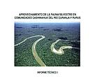 Informe Técnico I