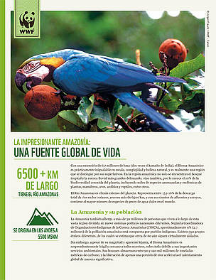 La impresionante amazonía:
Una fuente global de vida / ©: WWF Perú / ©: WWF Perú