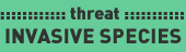 Threat to the River: Invasive Species / ©: WWF / ©: WWF