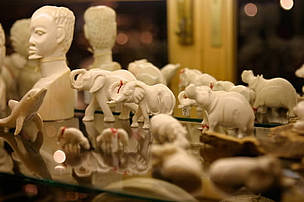  / &copy;: WWF-Canon / Folke WULF 