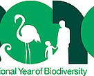 Celebrating the International Year of Biodiversity 2010 