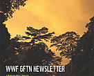 GFTN Quarterly Newsletter, January 2011