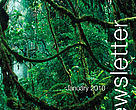 GFTN Quarterly Newsletter, January 2010