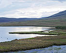 Javakheti Protected area